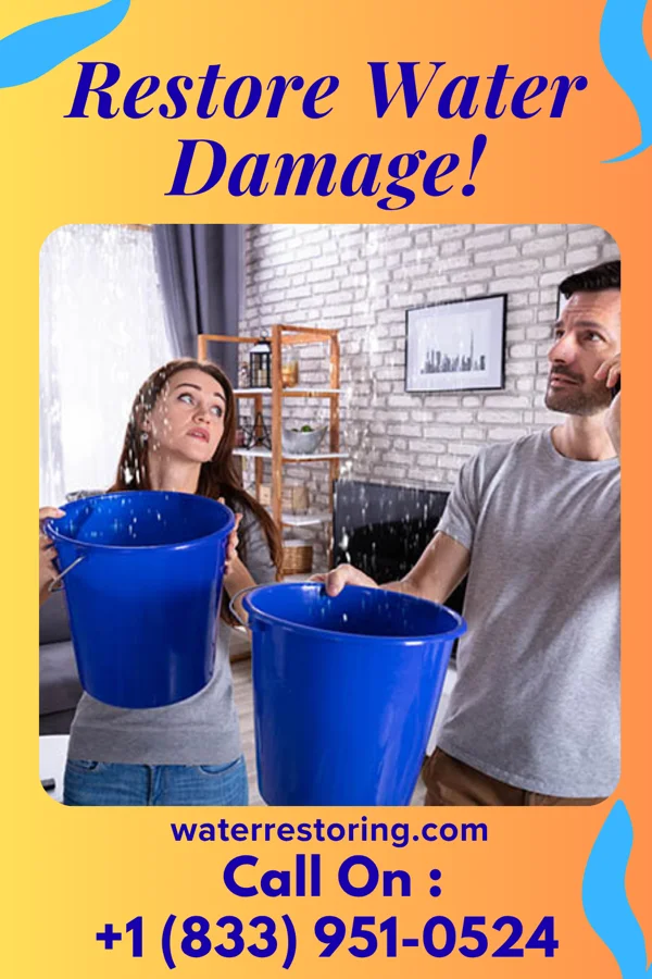 water restoration Local Mitigation Services Rogers