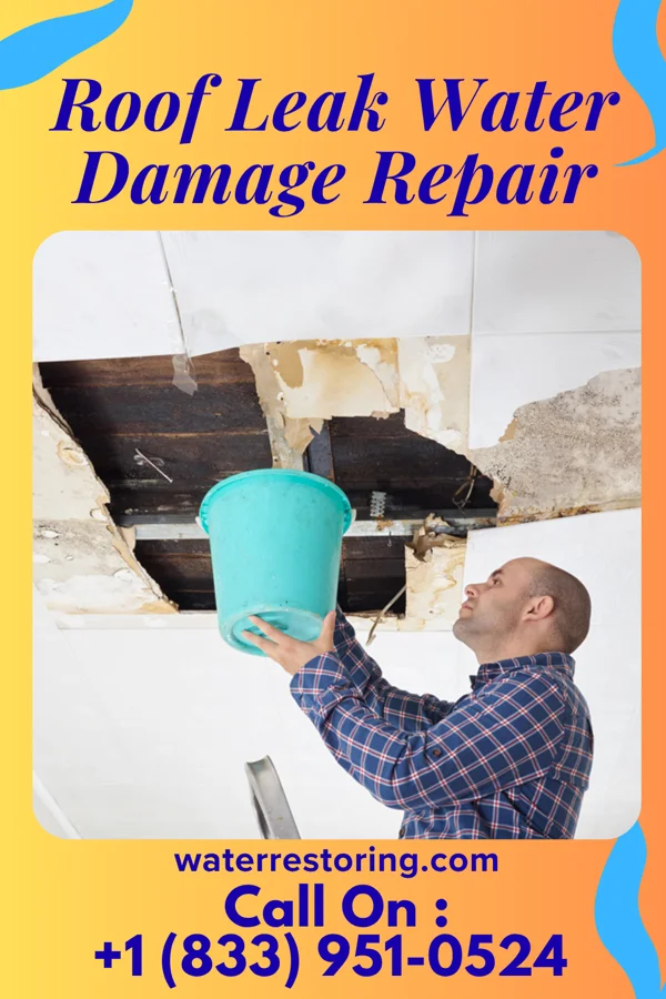 Roof Leak Water Damage Repair in Rogers, MN