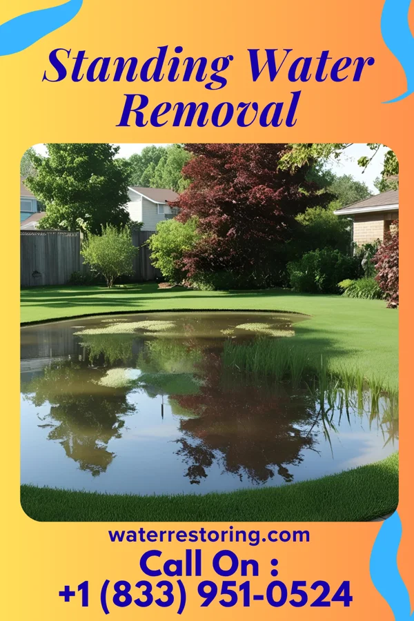 Standing Water Removal in Rogers, MN